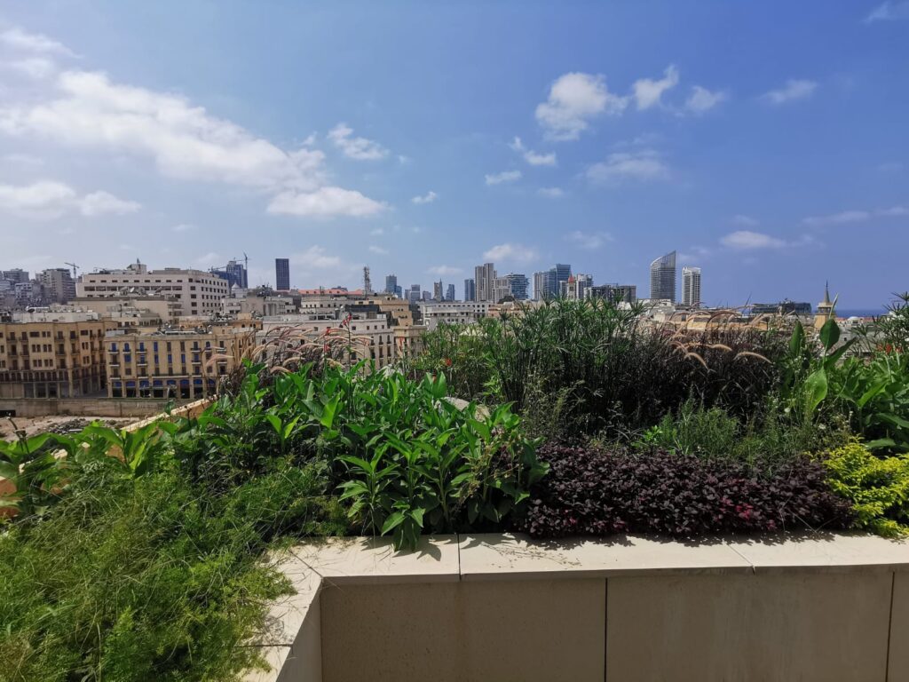 Beirut Gardens F