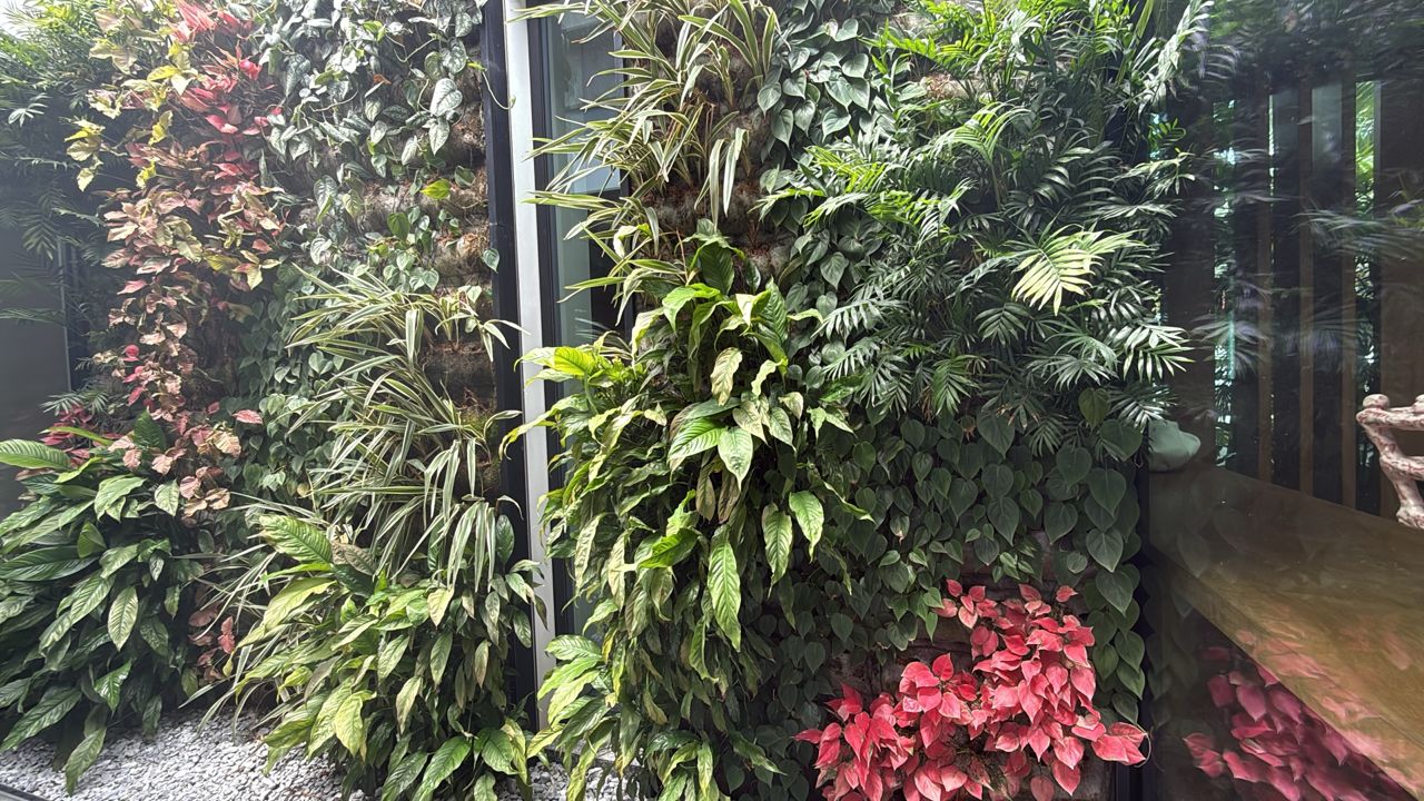 WhatsApp Image 2025 08 19 at 4.20.36 PM (1)