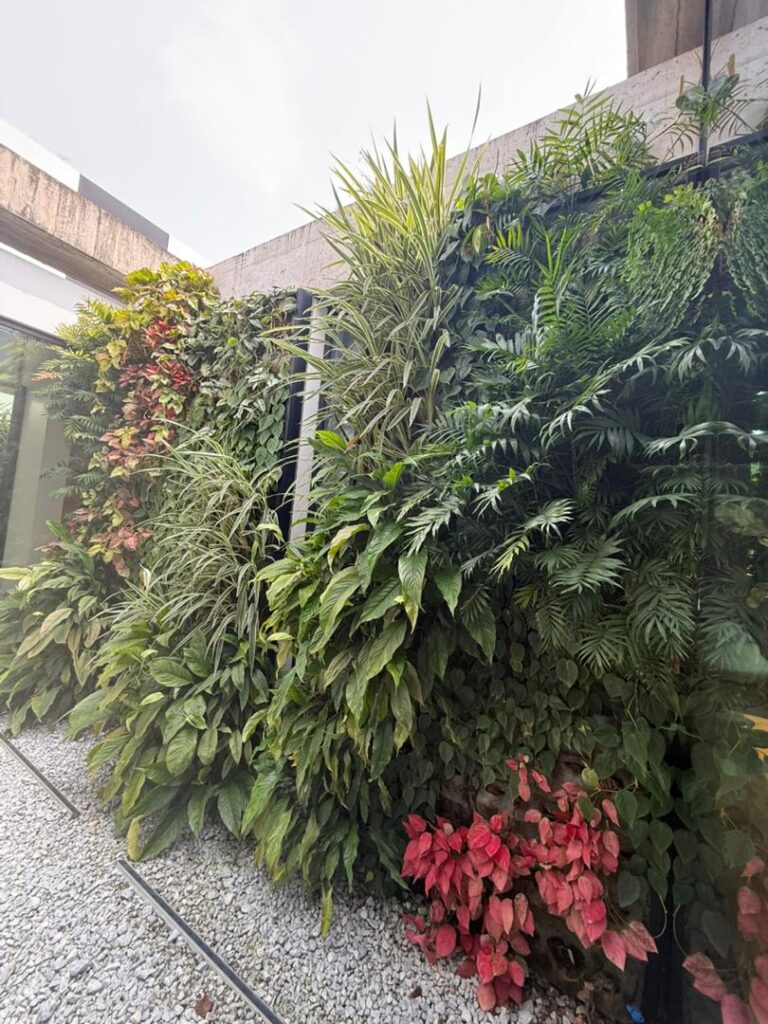 WhatsApp Image 2026 01 23 at 1.24.43 PM